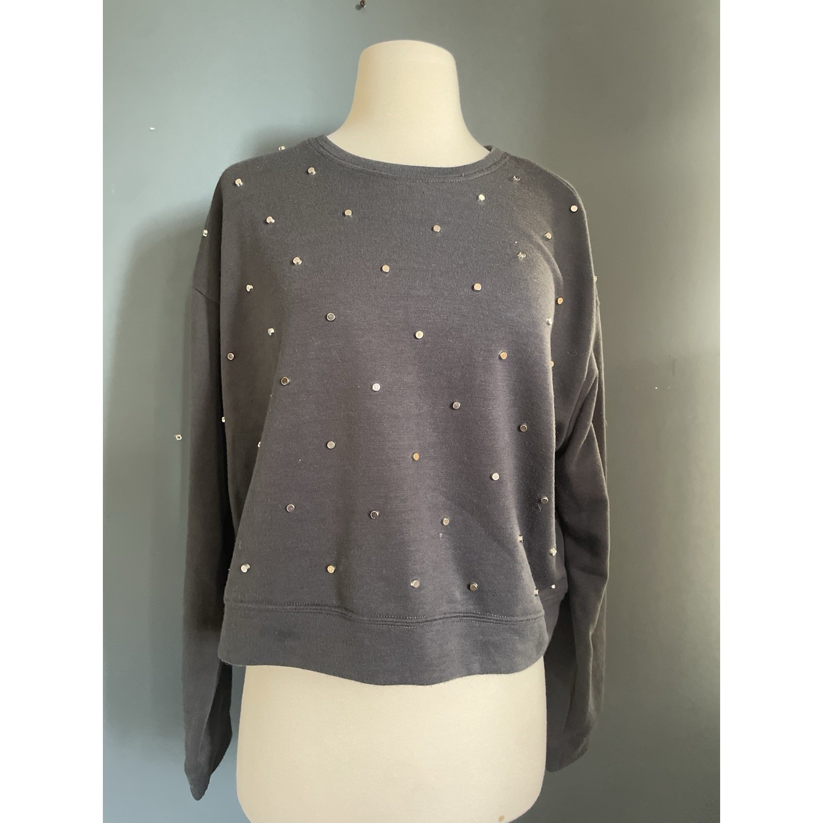 Intru Women's Gray Crew Neck Long Sleeve Rhinestoned Cropped Sweatshirt Size M